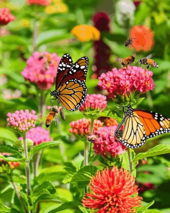 Generate a high-quality, relevant image prompt for an article about: Best Florida Plants for Bees &