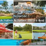 generate an eye catching high quality featured im 1755024318
