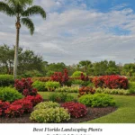 generate an eye catching high quality featured im 1755291899