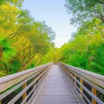 generate an eye catching high quality featured im 1755627716