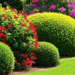 generate an eye catching high quality featured im 1755802541