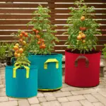 generate an eye catching high quality featured im 1755957391