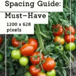 generate an eye catching high quality featured im 1755957908