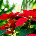 generate an eye catching high quality featured im 1756568702