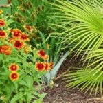 generate an eye catching high quality featured im 1756569586