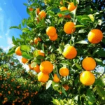 generate an eye catching high quality featured im 1756569740