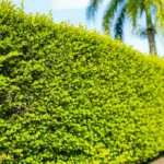 generate an eye catching high quality featured im 1756570410