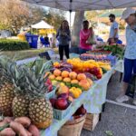 Greenmarket Palm Beach Gardens