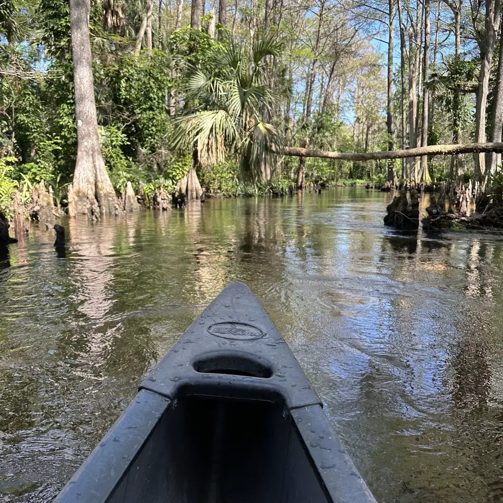Kayaking Palm Beach Gardens