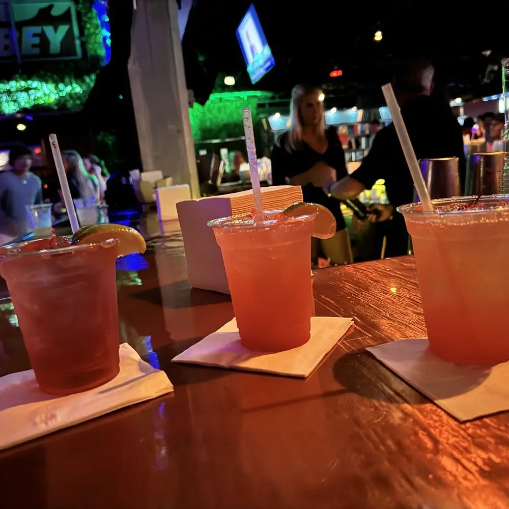 Palm Beach Gardens Nightlife And Bars