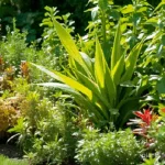 Best Plants for North Florida Landscaping: A Comprehensive Guide