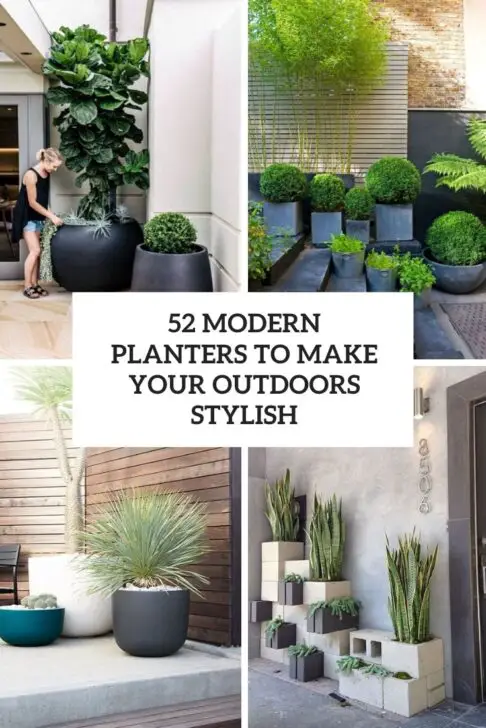 Stylish Planters