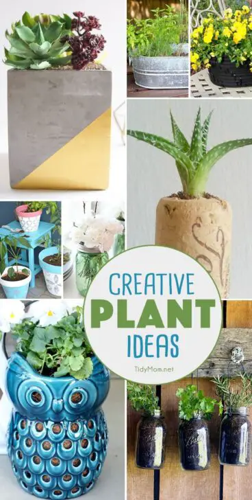 Unique Planter Designs