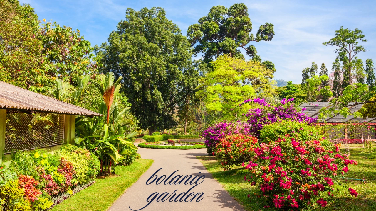 Discover Unmissable Events at the Los Angeles County Arboretum and Botanic Garden in 2025