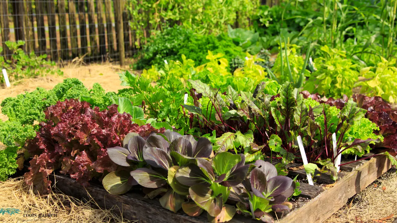 Does Companion Planting Give You More Fall Veggies? We Asked Garden Pros