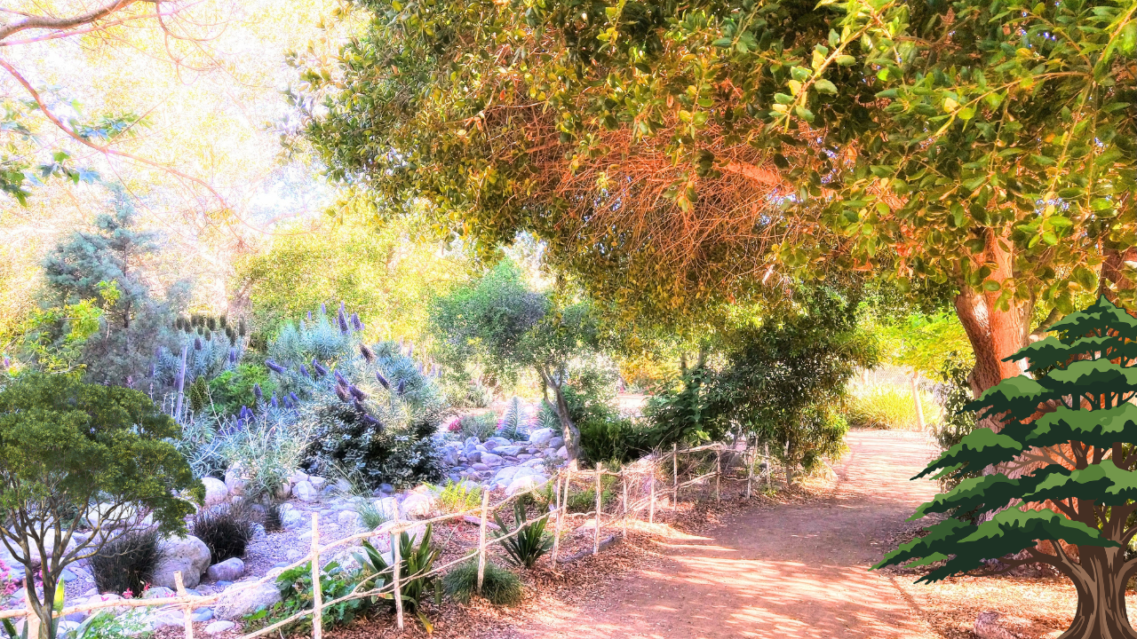 North Florida Tree Secrets: Ideal Varieties for a Healthy
