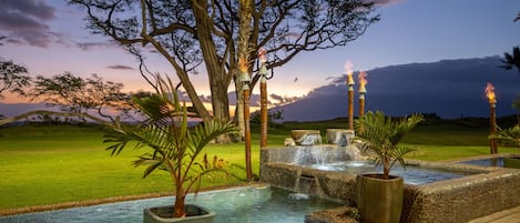 alexanders palm beach gardens discover tropical bliss