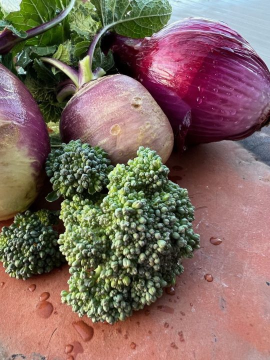 Best Fall Vegetables to Plant in Florida: Top Picks for a Bountiful Harvest