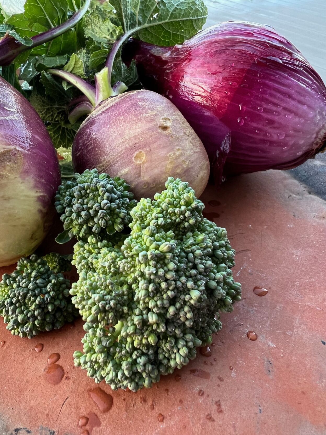 best fall vegetables to plant in florida