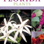 best florida native plants for landscaping