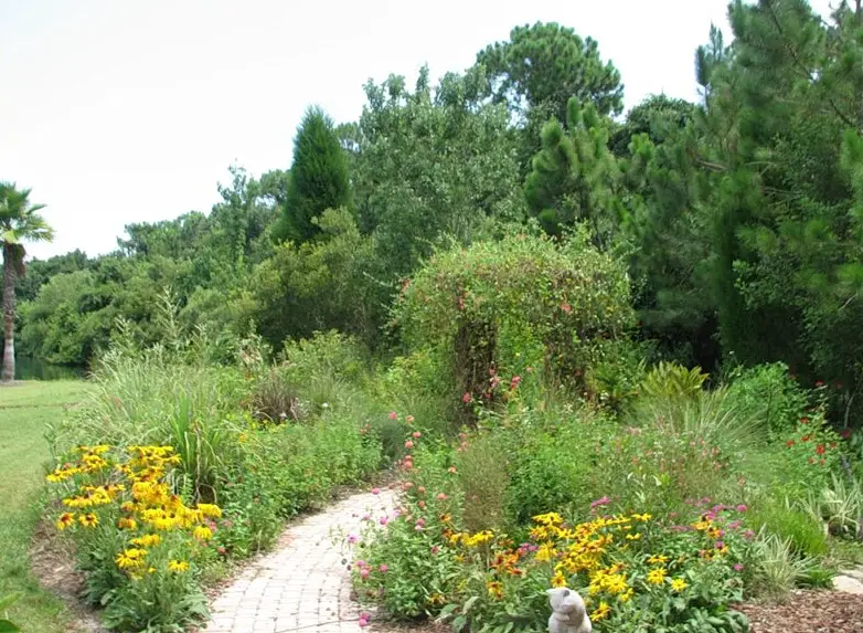 best florida native plants for landscapping 1