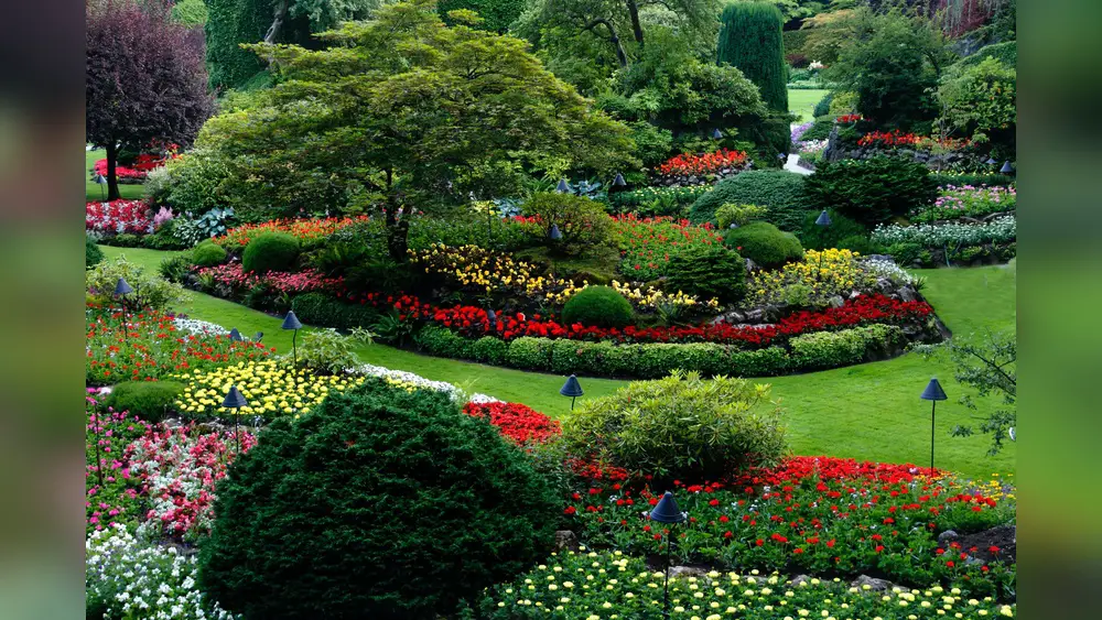 best full sun plants for south florida