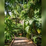 best garden plants for north florida