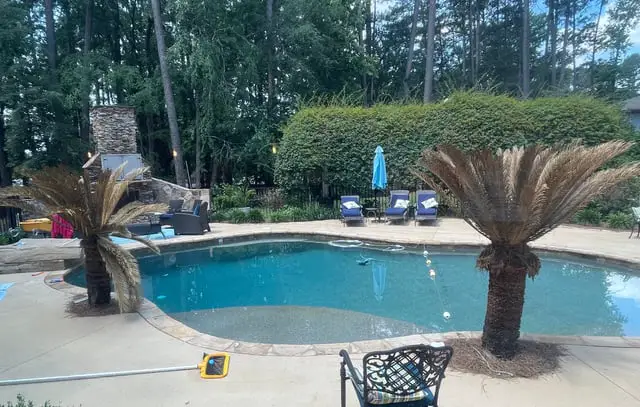best plants to put around a pool in