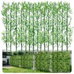 best potted privacy plants outdoor