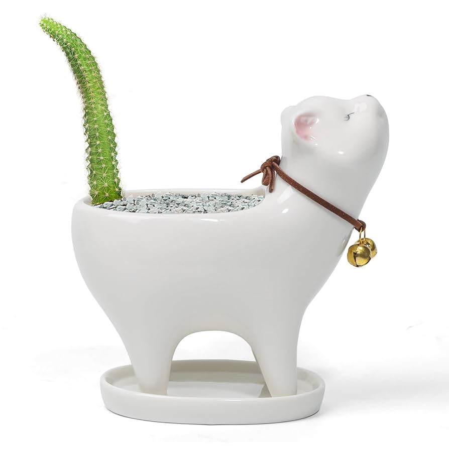 buy ceramic pots elevate your home decor instantly