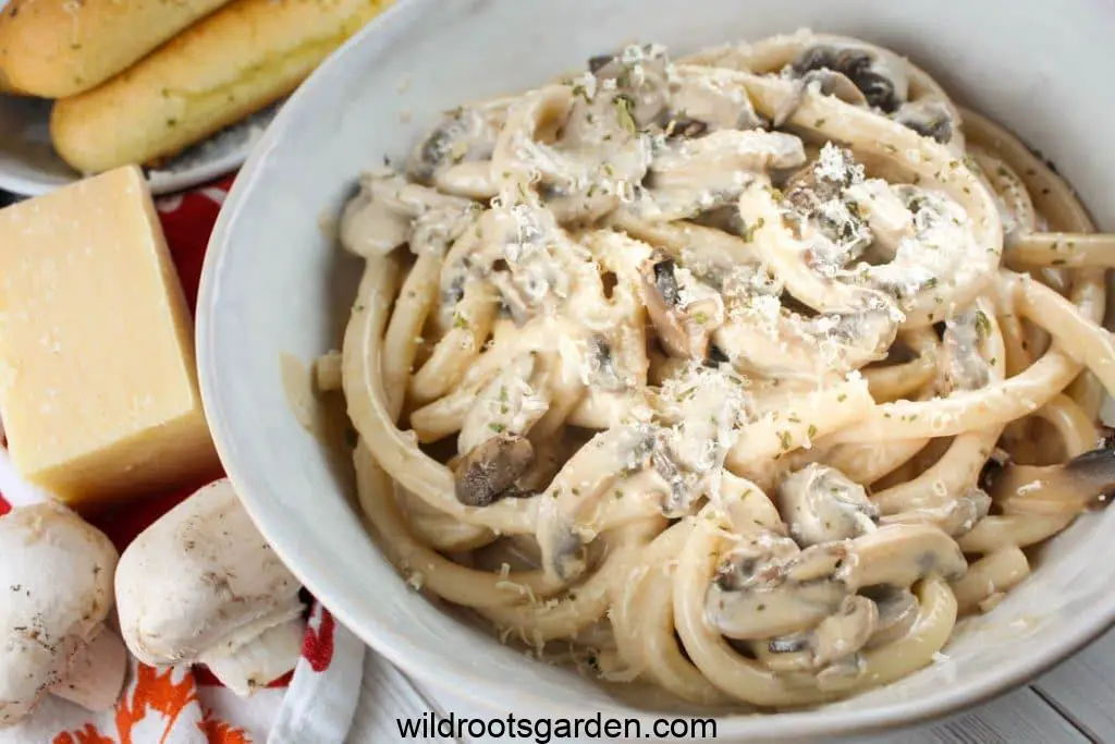 copycat olive garden mushroom sauce easy homemade recipe