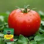 generate an eye catching high quality featured im 1757656920