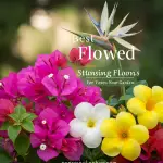 generate an eye catching high quality featured im 1758552078
