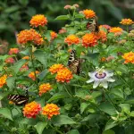generate an eye catching high quality featured im 1758643006