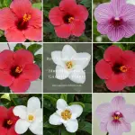 generate an eye catching high quality featured im 1758643090