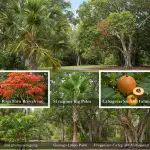 generate an eye catching high quality featured im 1758736216