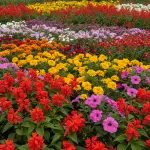 generate an eye catching high quality featured im 1758736268