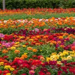 generate an eye catching high quality featured im 1758736349