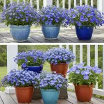 generate an eye catching high quality featured im 1758736604