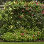 generate an eye catching high quality featured im 1759063269