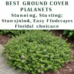generate an eye catching high quality featured im 1759245396