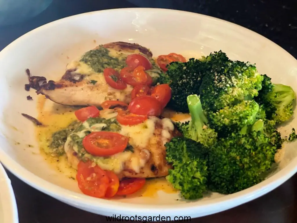grilled chicken margherita olive garden nutrition healthy delicious