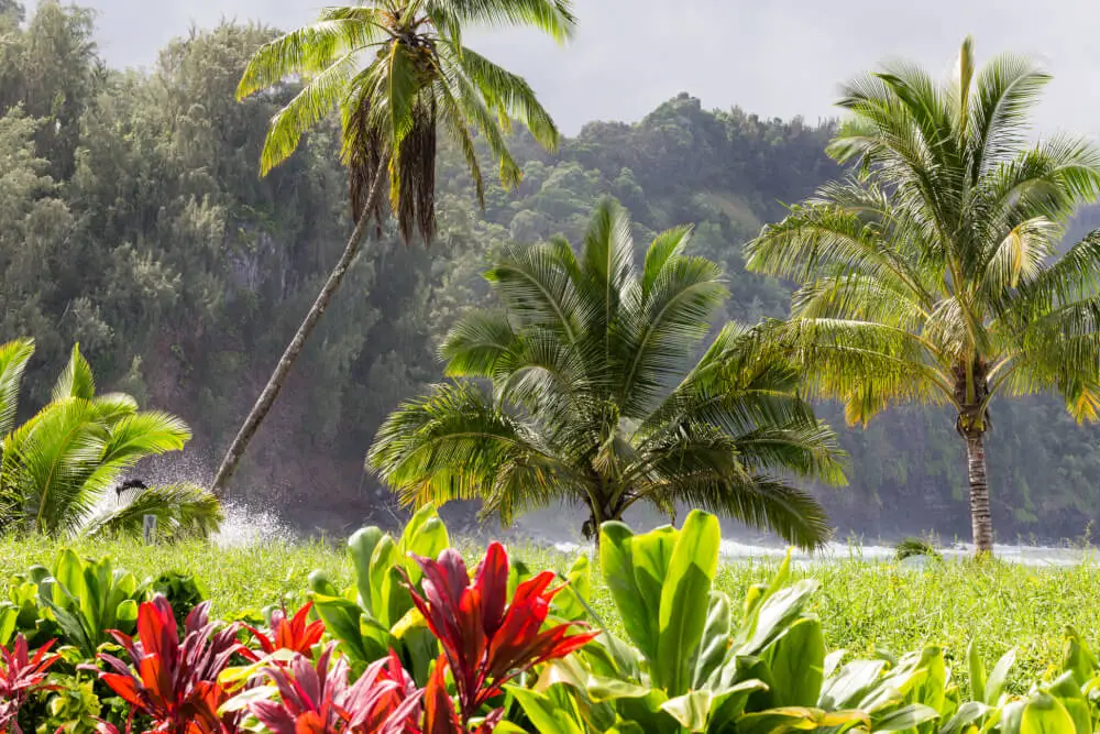 kid friendly activities in palm beach gardens ultimate fun guide