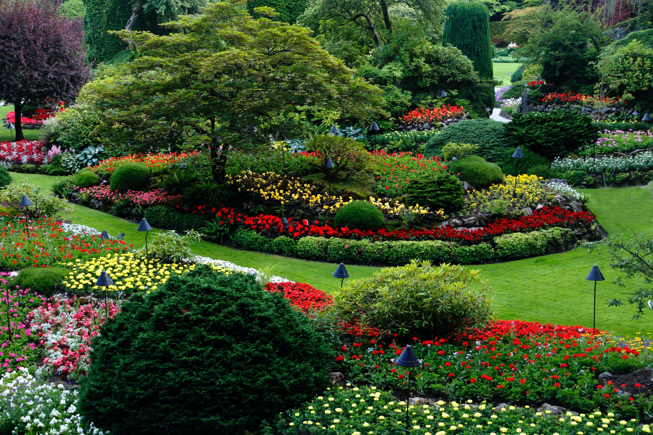 low maintenance shade plants florida