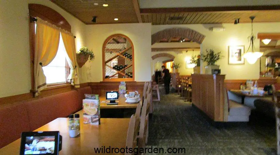 olive garden birmingham mi discover authentic italian dining