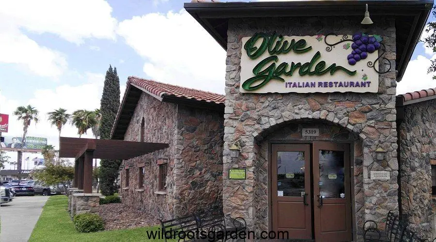 olive garden eagle pass tx experience authentic italian cuisine