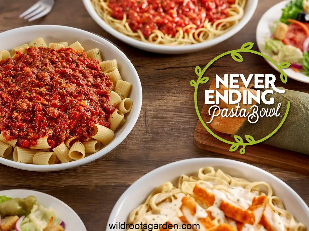 olive garden san francisco stonestown unforgettable dining