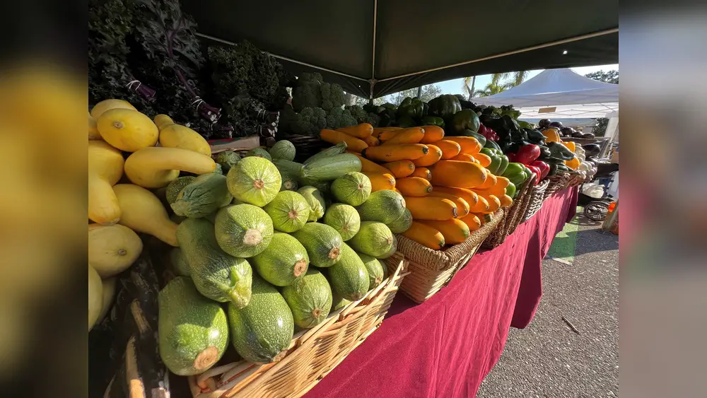 palm beach gardens farmers market hours and location