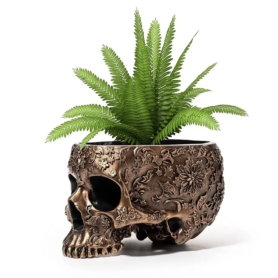 planter for succulents stylish designs for your home