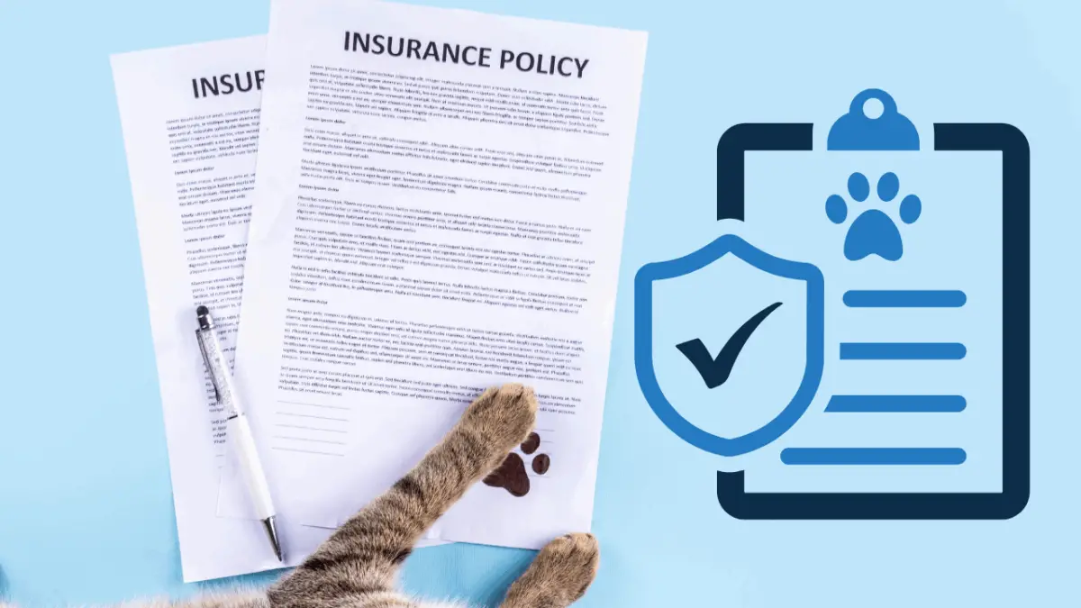 Best Pet Insurance for Dogs in Florida 2025: Top Providers, Costs, and Coverage Guide